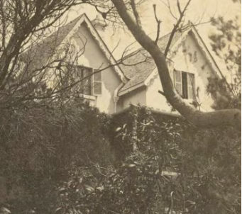 A sepia toned image of leafless trees in front of tall, trimmed hedges at Kirribilli House 