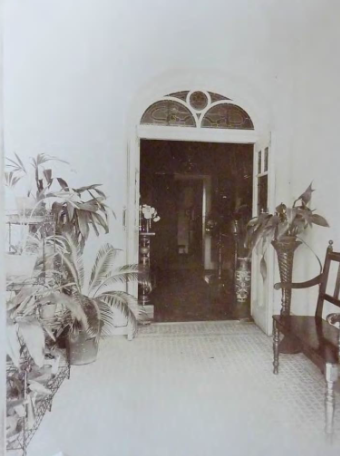 A black and white picture of an arched entryway with two doors opened and multiple potted plants along the side