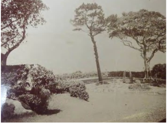 A sepia toned image of the Kirribilli house gardens with an archway and gate, large bushes and long thin trees