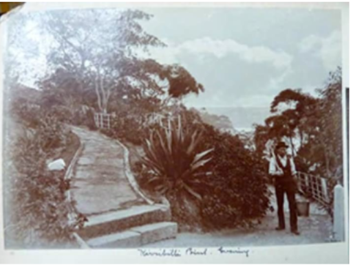 A black and white image of a man standing next to large bushes and a path on the Kirribilli House grounds