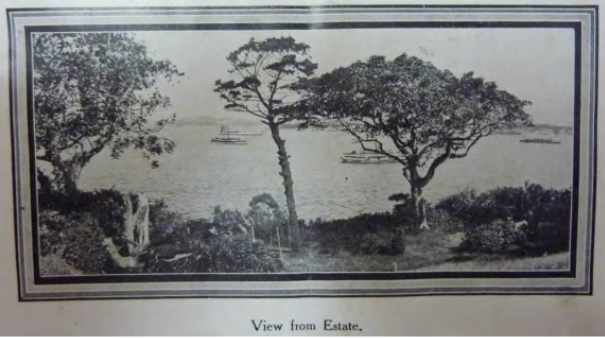 A black and white picture overlooking the harbour from the Kirribilli House grounds with boats and ferry’s in the water and trees and bushes surrounding the grounds 